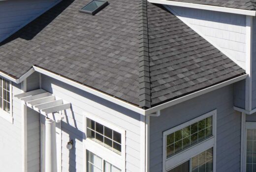 Asphalt shingle roof featuring a skylight window.