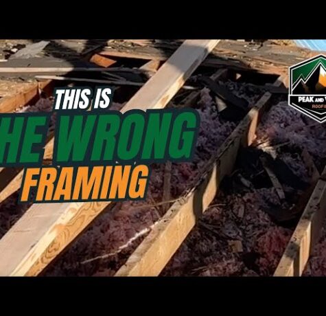 Damaged roof with tree damage requiring professional roofing inspection