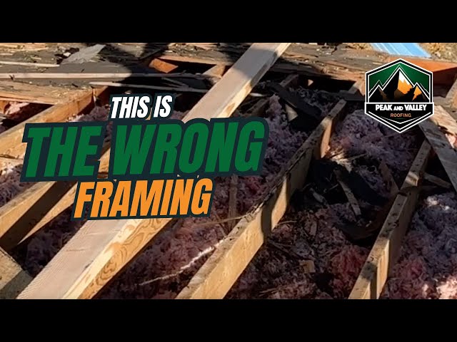 Damaged roof with tree damage requiring professional roofing inspection