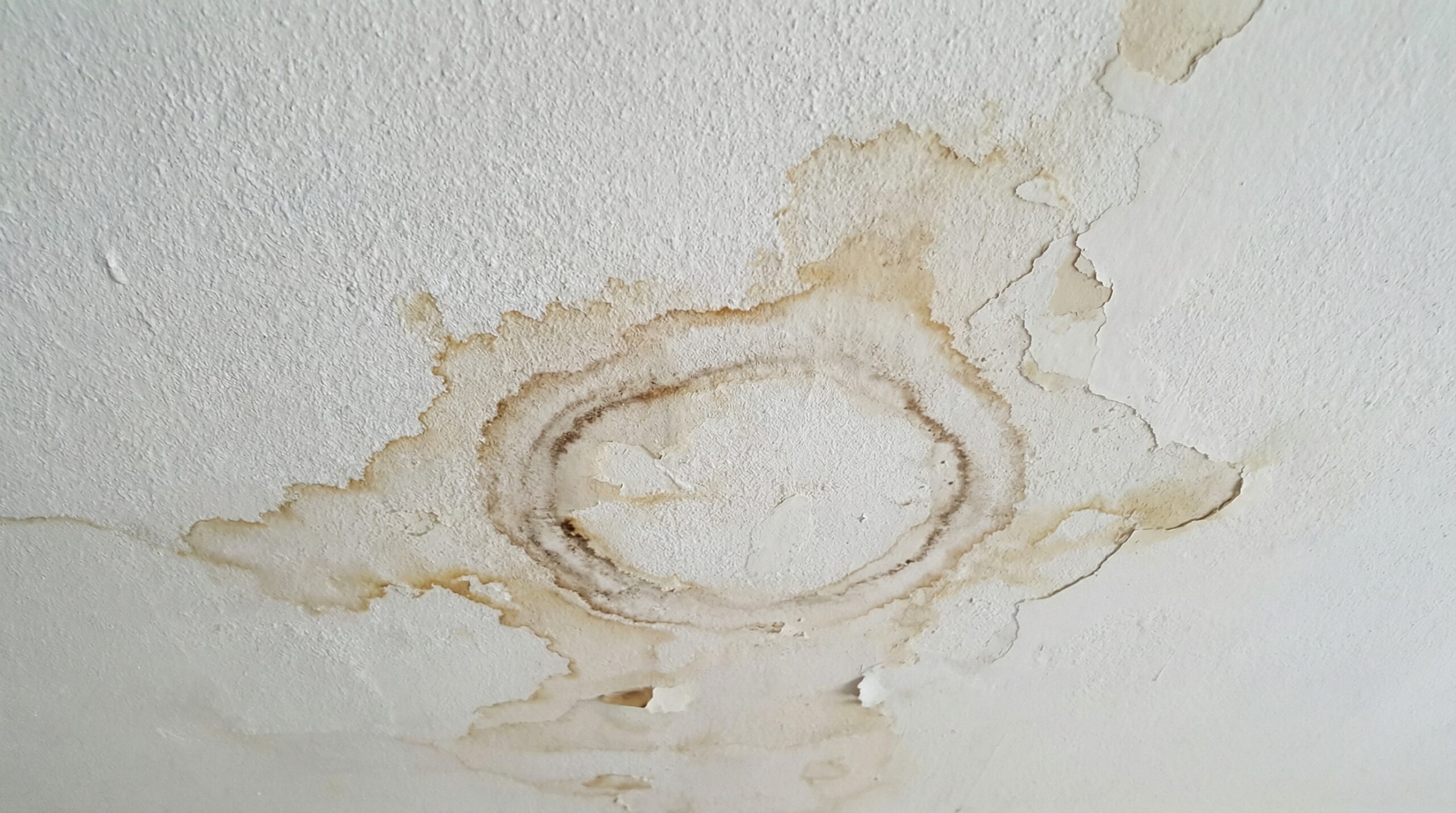 Water damage ceiling stains from roof leak