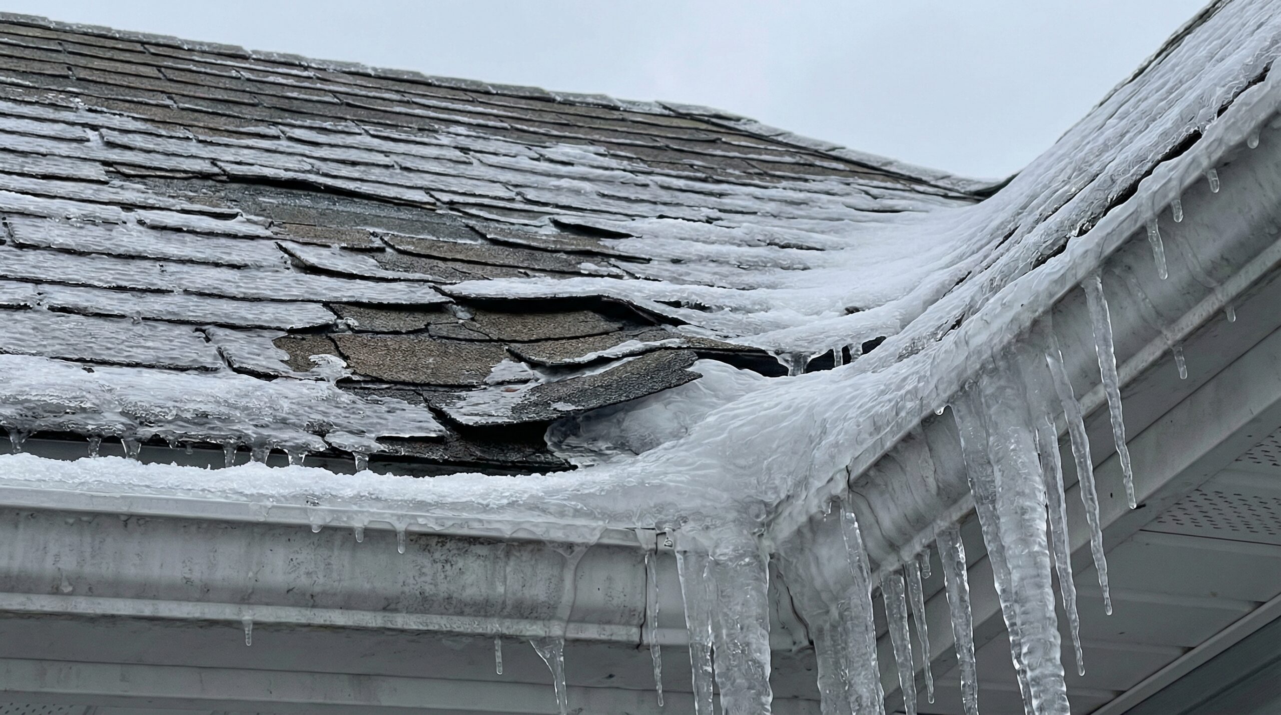 Damaged asphalt shingles with ice dam formation in Chicago