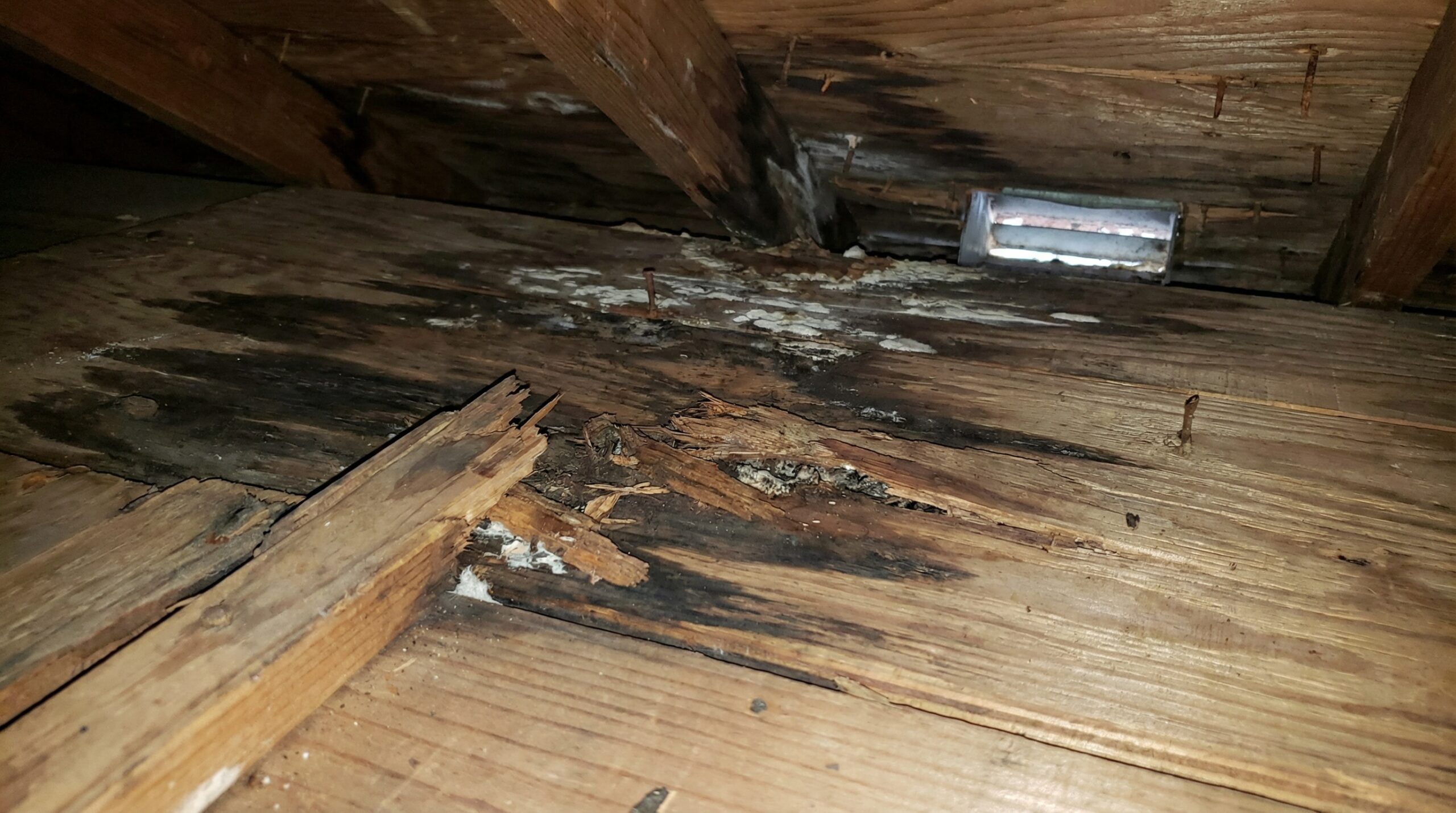 Close-up of damaged roof decking showing moisture damage and wood rot from poor ventilation