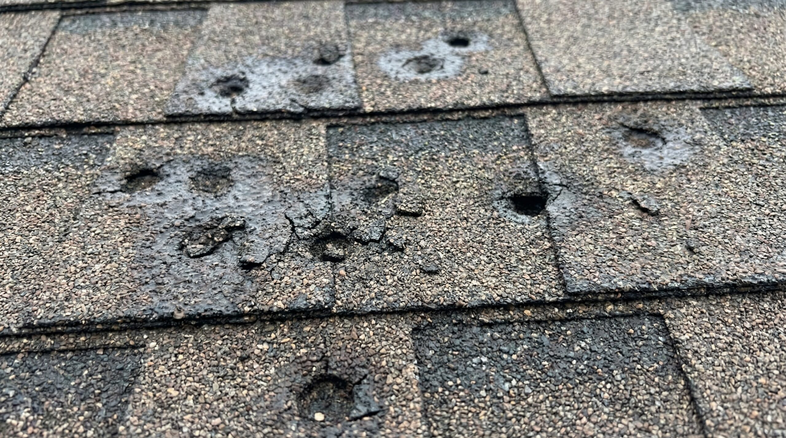 hail-damage-on-asphalt-shingles-with-visible-dark-spots