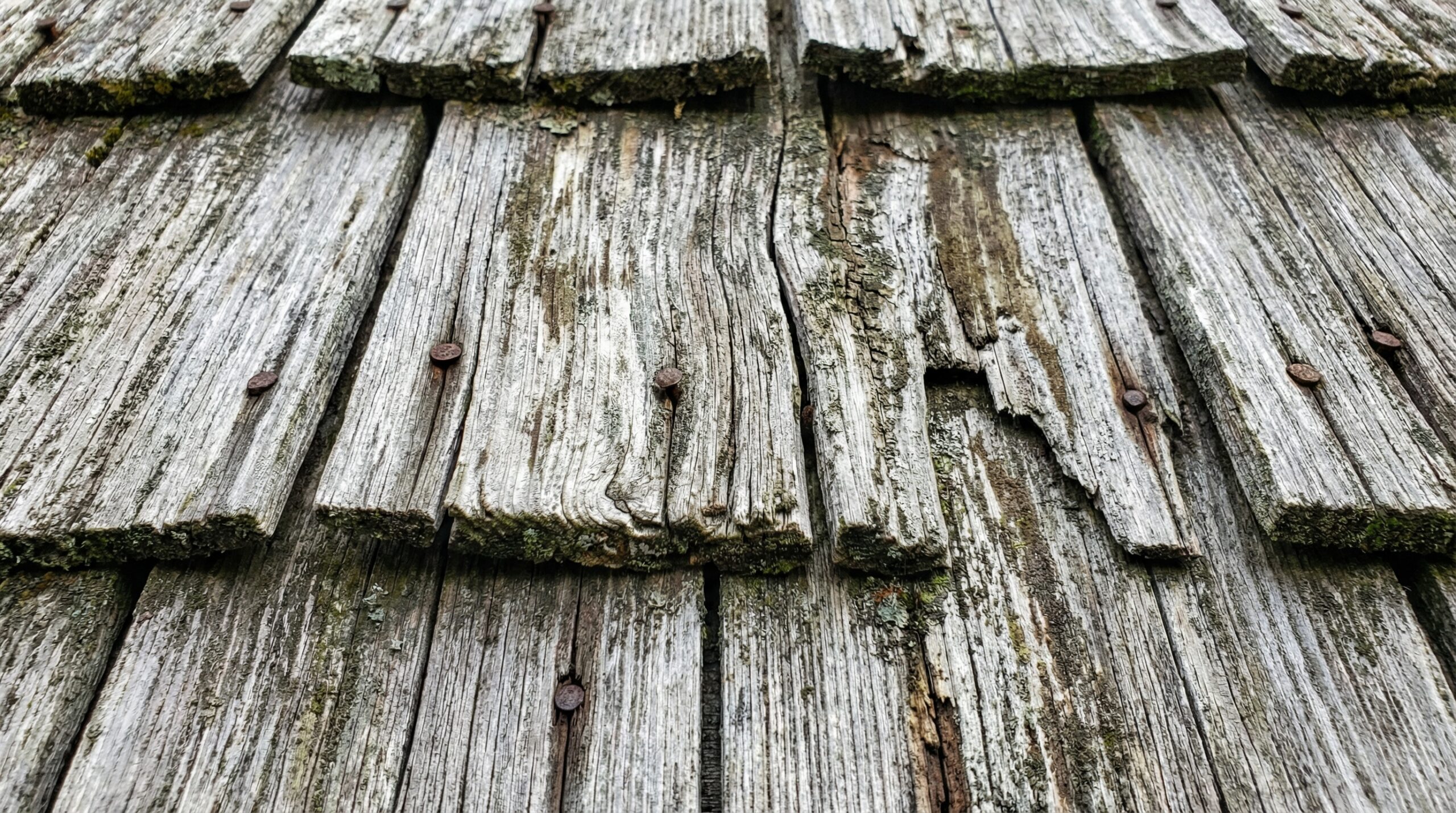 Close-up of historic wooden shingles showing weathering patterns