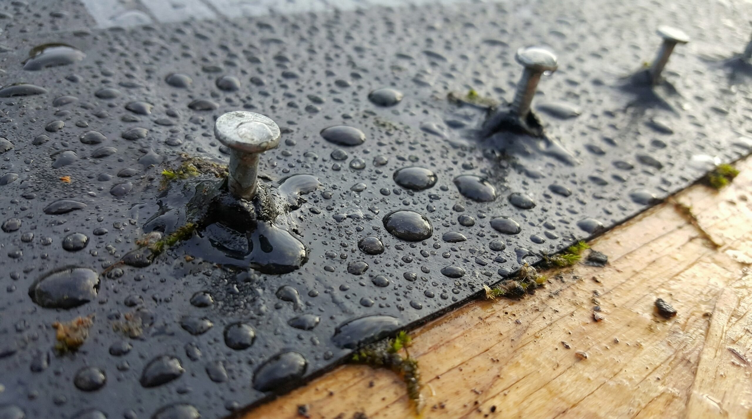 Close-up photo showing ice and water shield self-sealing around roofing nails with water beading on the surface