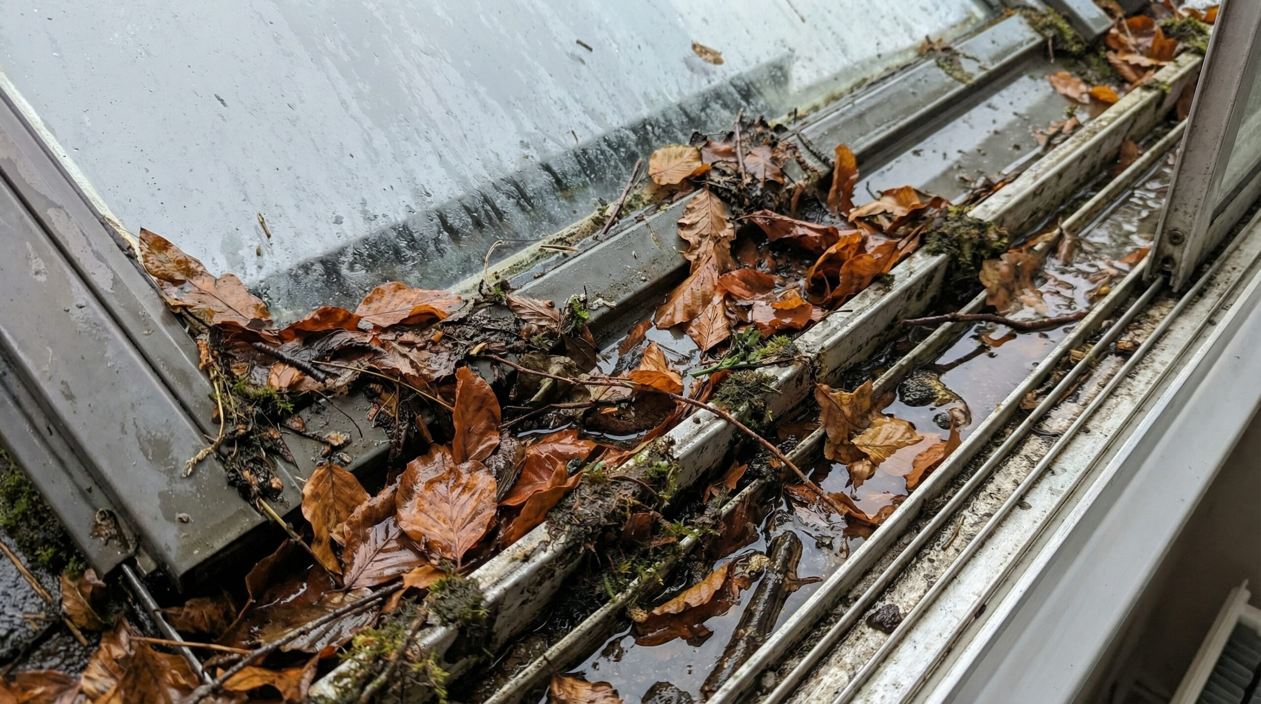 Close-up of skylight with fallen leaves and debris around the frame showing potential drainage blockage