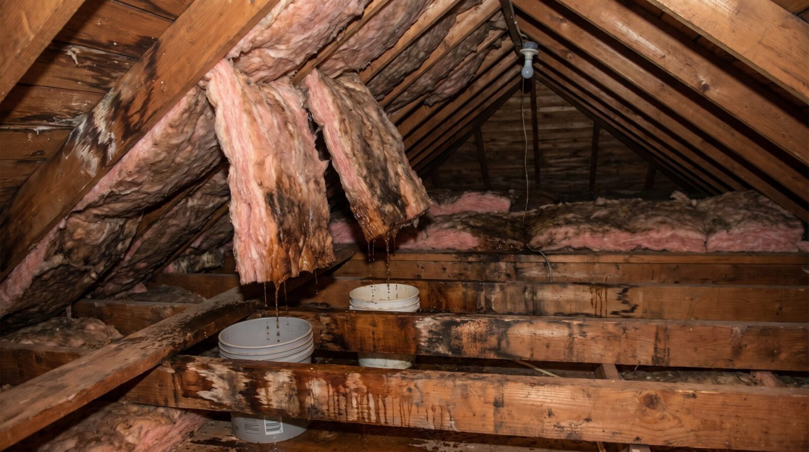 attic inspection showing wet insulation and brown stains