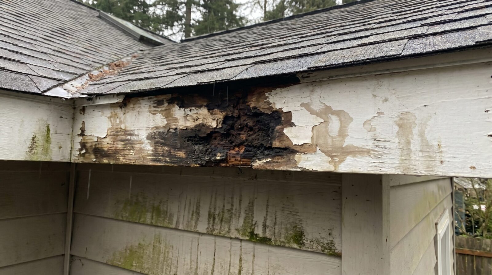 Photo showing water damage and rot on fascia board caused by missing drip edge